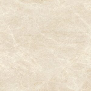 Campioni - Optimum Surfaces - Taj Mahal