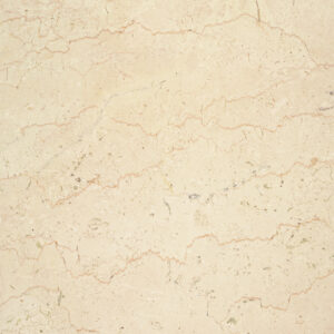 Campioni - Pietra di Trani