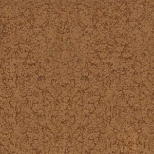 Campioni - Rosso Verona