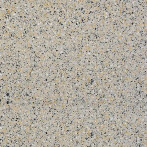 Campioni - Terrazzo Festa